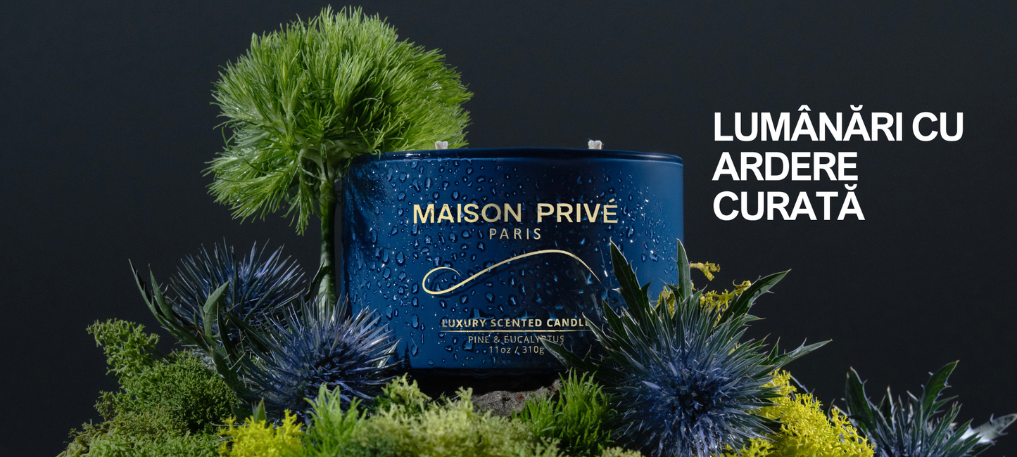 Maison Privé Romania