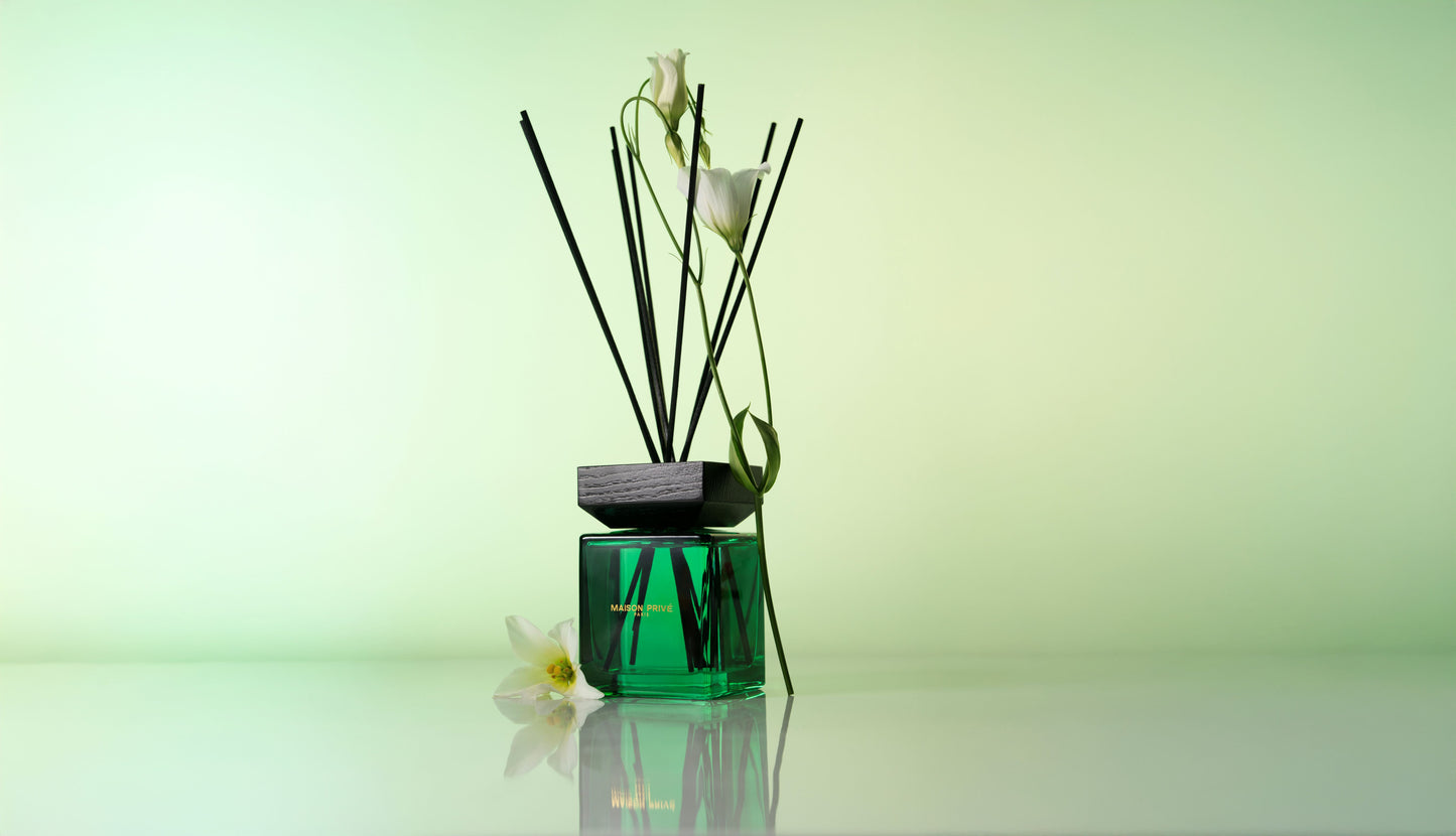 Maison Privé Romania