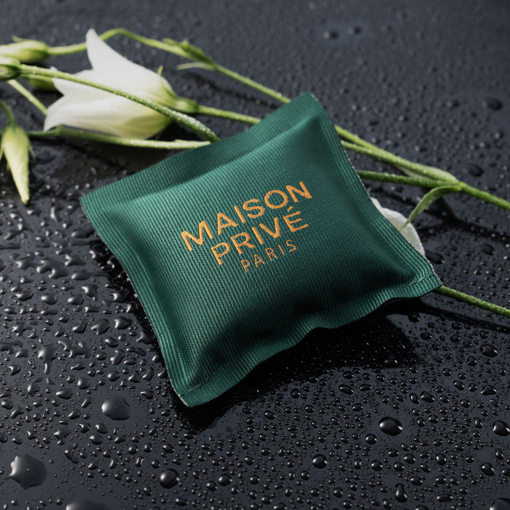 
                  
                    Odorizant pentru automobil | LEMONGRASS ȘI BERGAMOTĂ
                  
                