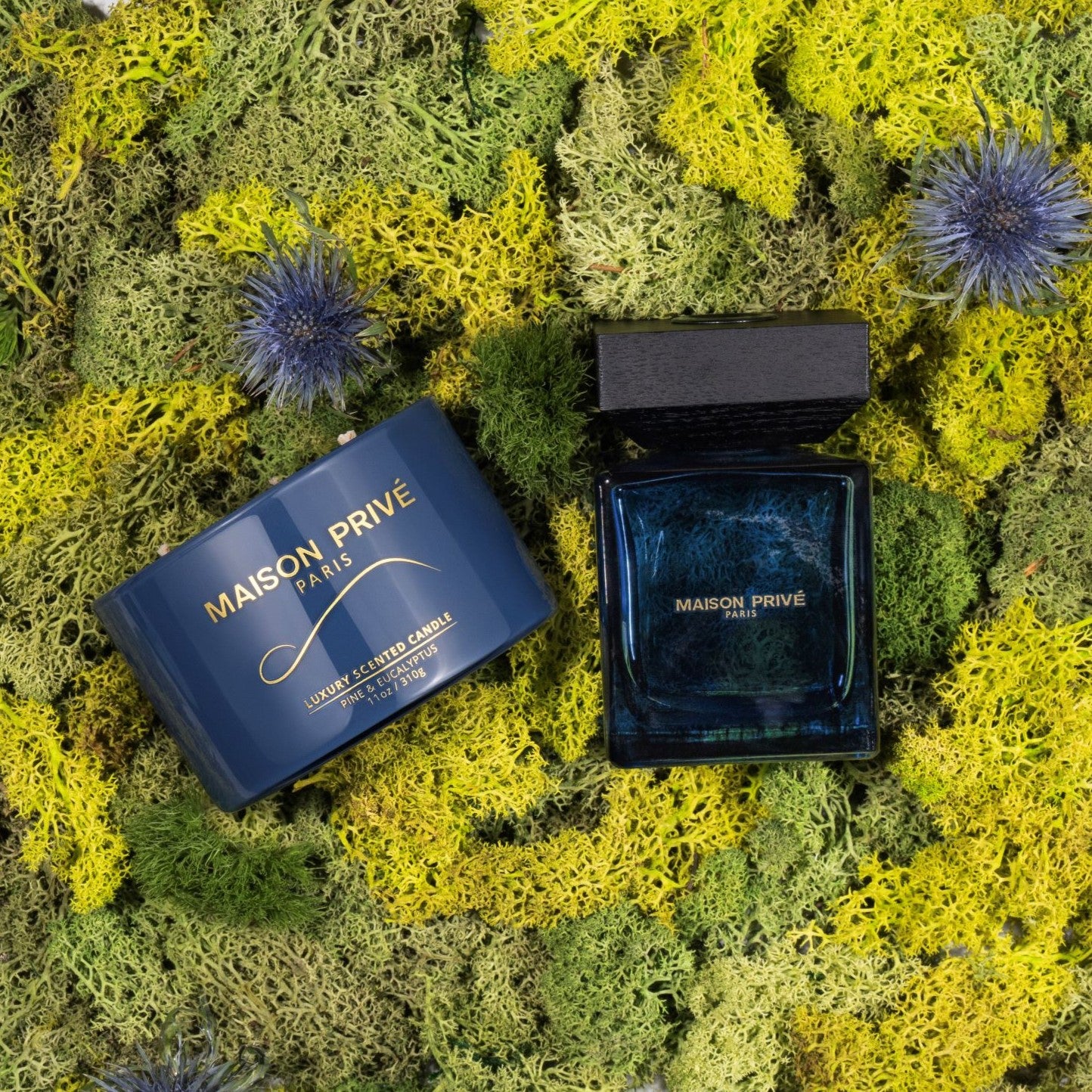 
                  
                    Lumânare | PIN & EUCALIPT | 310g
                  
                